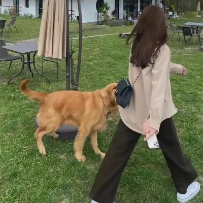 情归陶然亭